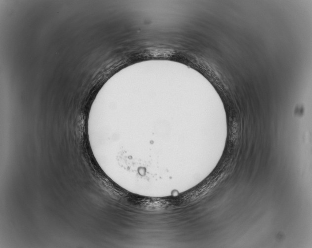 X0000101140321200806270742