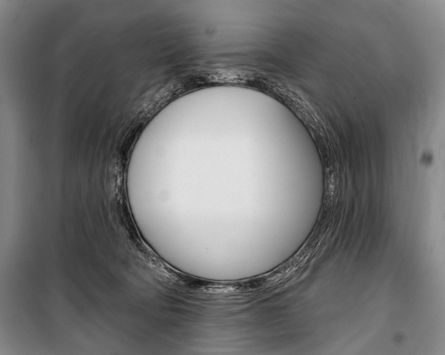 X0000101140322200806270742