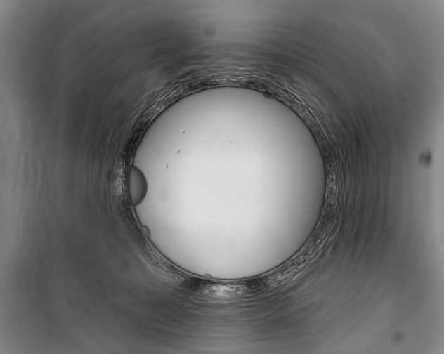 X0000101140323200806270742