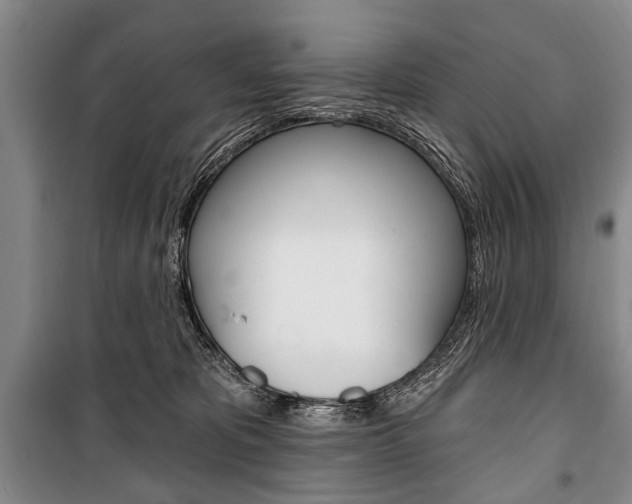 X0000101140325200806270742