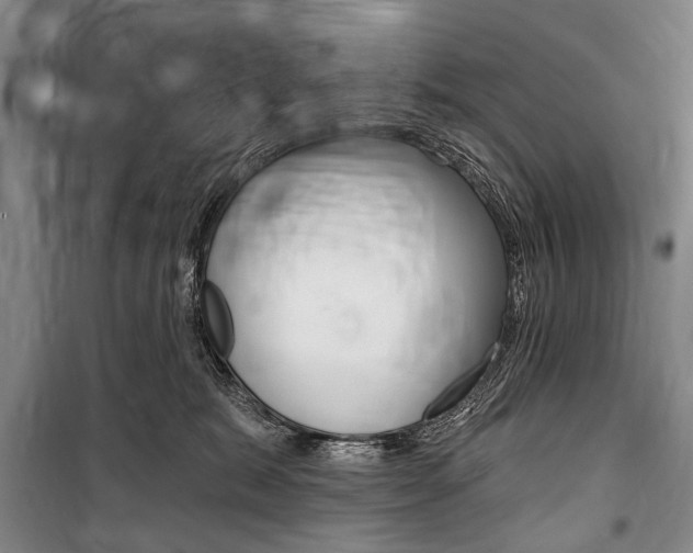 X0000101140327200806270742