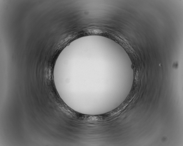 X0000101140330200806270742