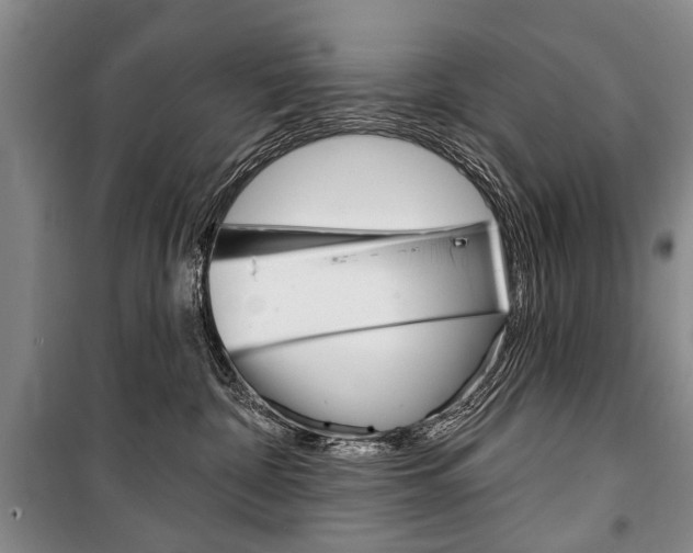 X0000101140332200806270741