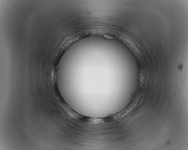 X0000101140333200806270741