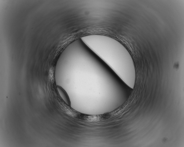 X0000101140335200806270741