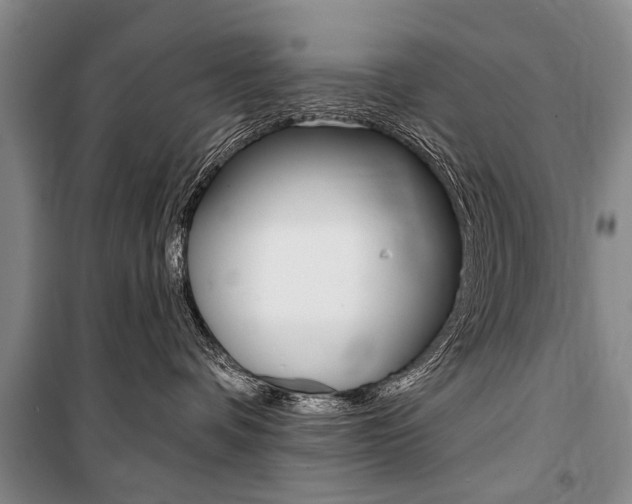 X0000101140336200806270741