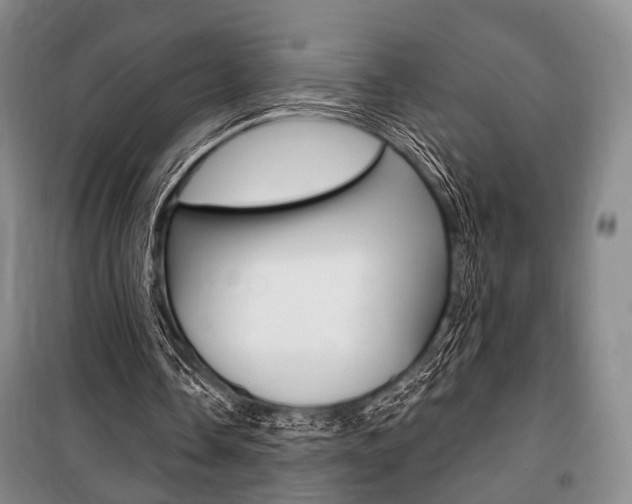 X0000101140338200806270741