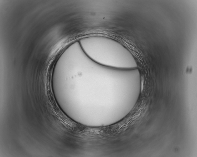 X0000101140339200806270741