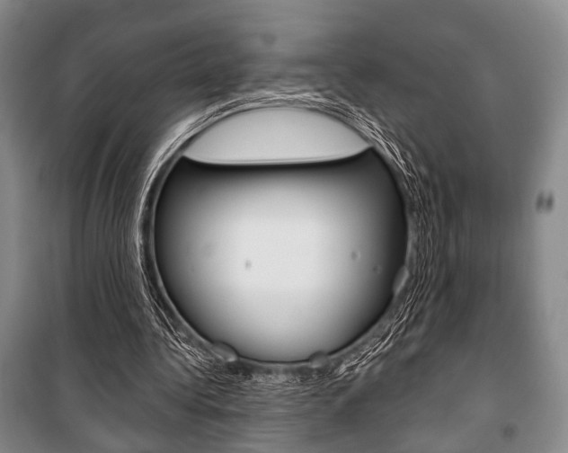 X0000101140340200806270741