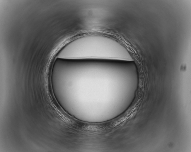 X0000101140341200806270741
