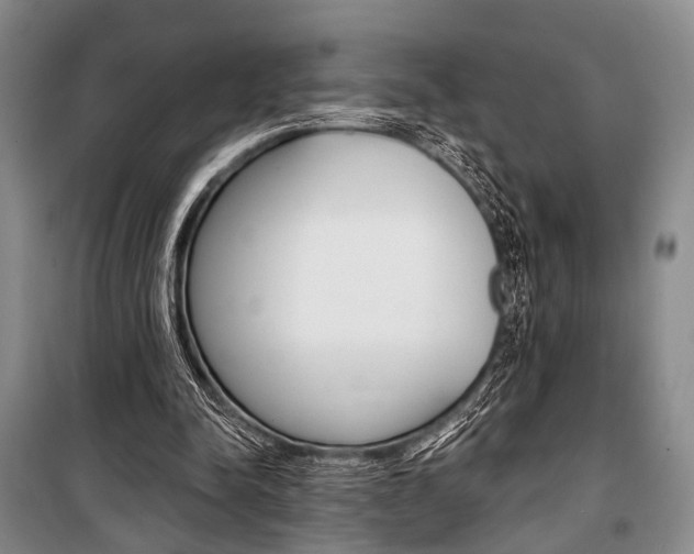 X0000101140342200806270741