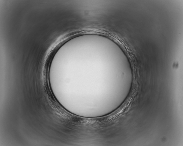 X0000101140343200806270741