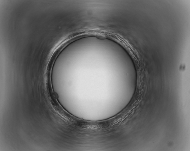 X0000101140344200806270741