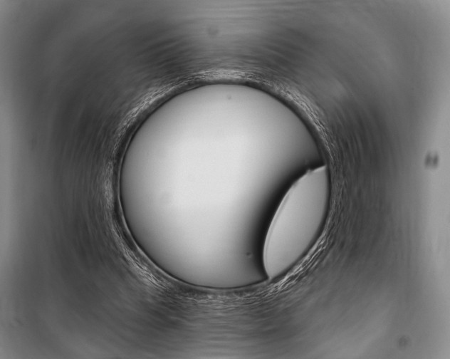 X0000101140345200806270741
