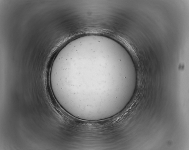 X0000101140346200806270741