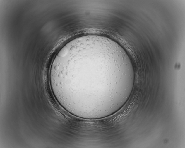 X0000101140347200806270741