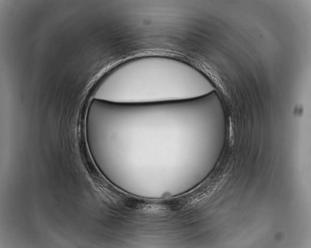X0000101140348200806270741