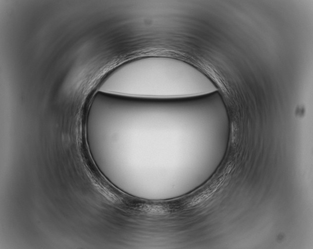 X0000101140349200806270741