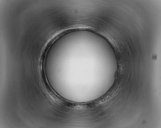 X0000101140350200806270741