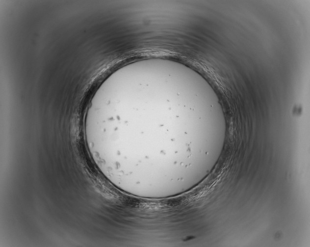 X0000101140351200806270741