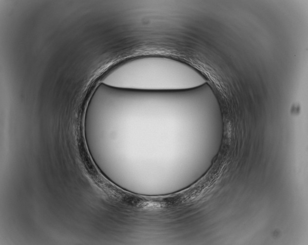 X0000101140352200806270741