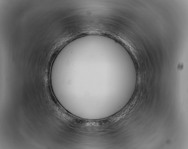 X0000101140353200806270741