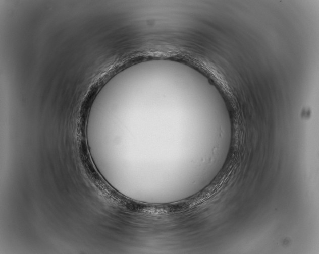 X0000101140354200806270741