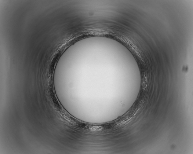 X0000101140355200806270741