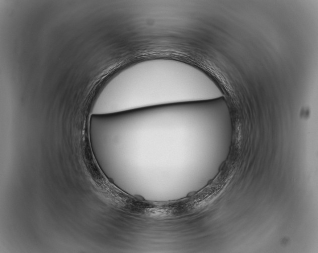 X0000101140356200806270741