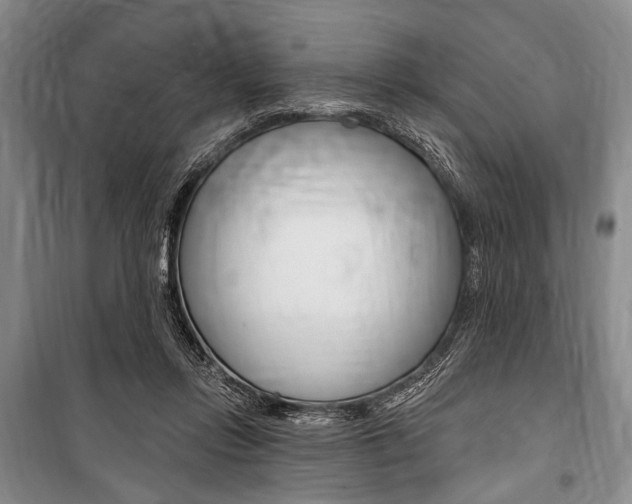 X0000101140358200806270741