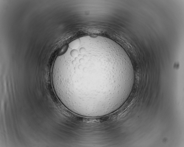 X0000101140359200806270741