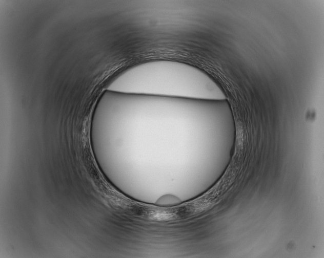X0000101140360200806270741
