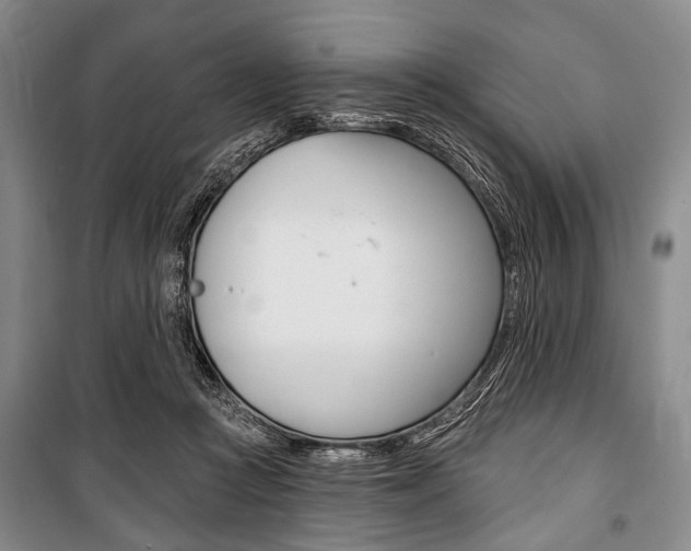 X0000101140361200806270741