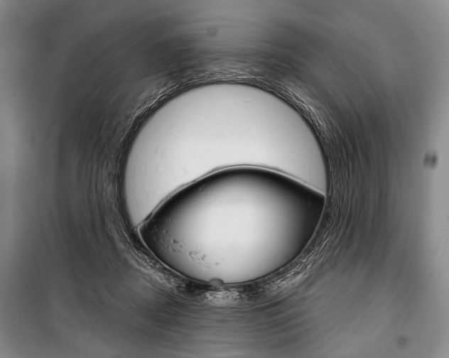 X0000101140362200806270741