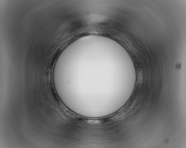 X0000101140363200806270741