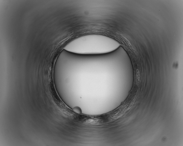 X0000101140364200806270741