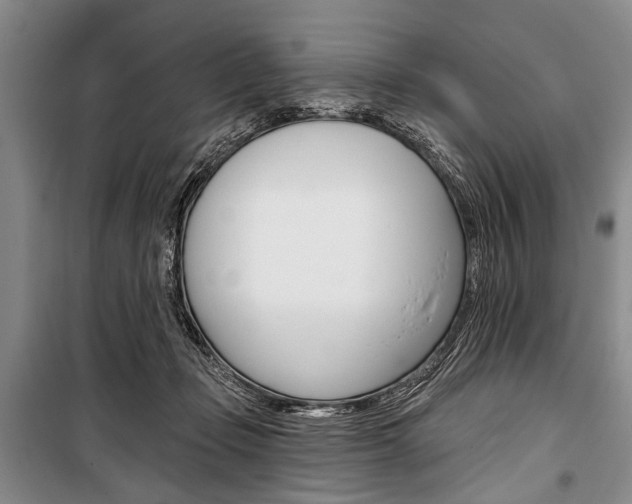 X0000101140365200806270741