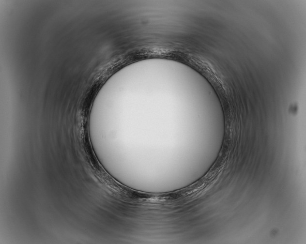 X0000101140366200806270741