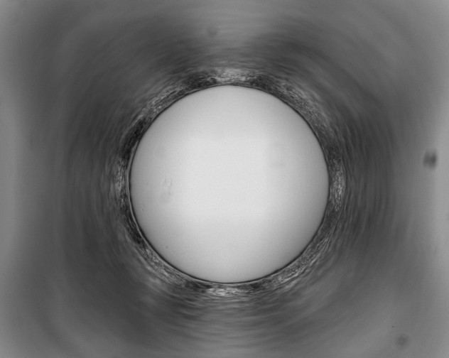 X0000101140367200806270741