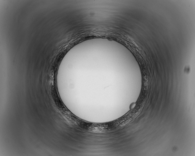X0000101140368200806270741