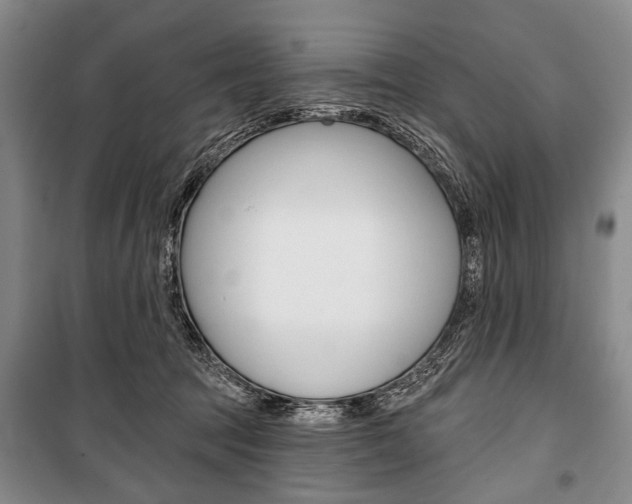 X0000101140369200806270741