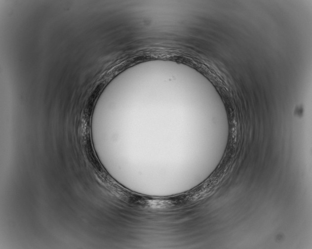 X0000101140371200806270741