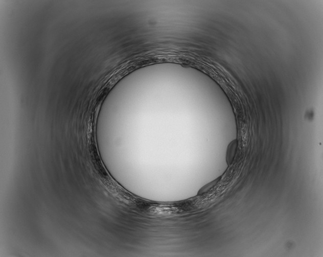 X0000101140372200806270741