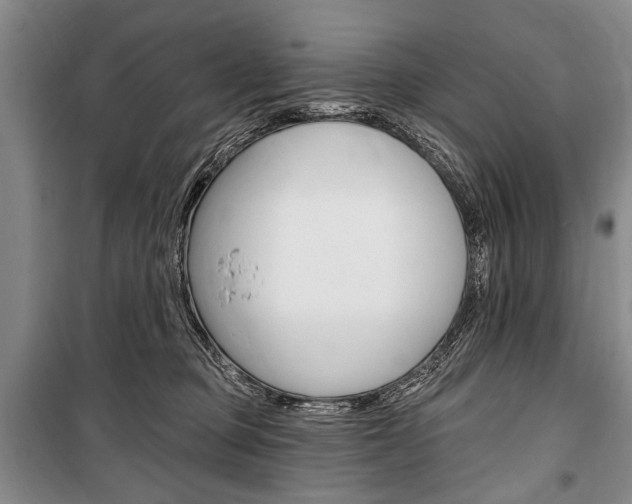 X0000101140373200806270741