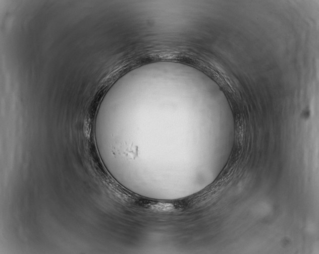 X0000101140374200806270741