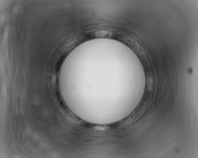 X0000101140375200806270741