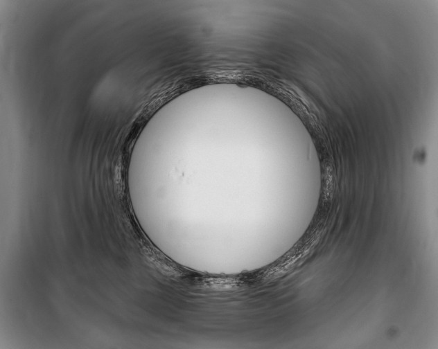 X0000101140377200806270741