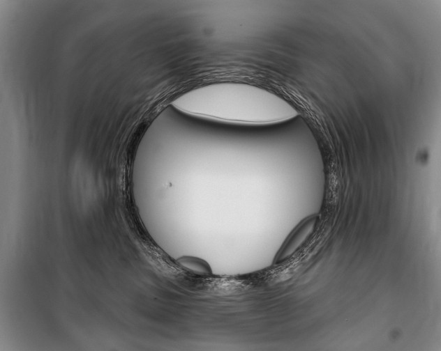 X0000101140379200806270741