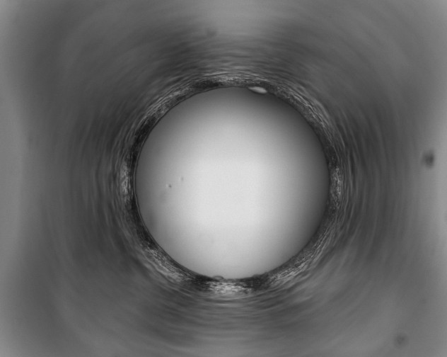 X0000101140380200806270741