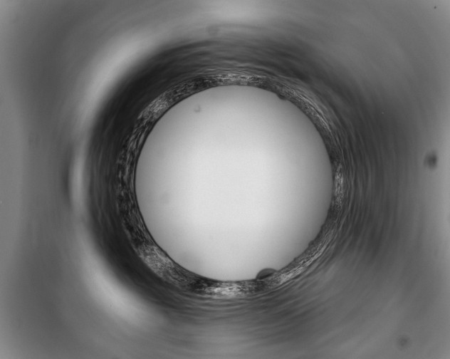 X0000101140381200806270741